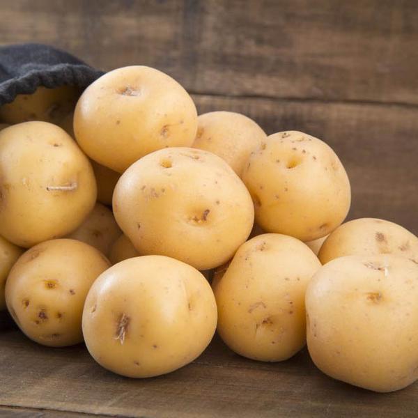 Фото: Купить ранний картофель в Алтайском крае оптом в Барнауле, цена 18 рублей — объявление