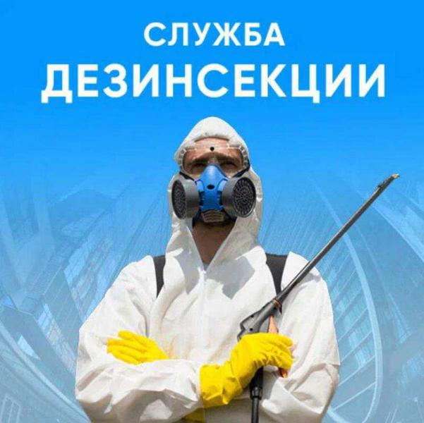 Фото: Служба дезинфекции в Москве в Москве, цена 1 рублей — объявления на Sobut