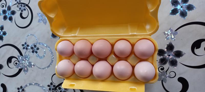 Фото: Продаю домашние куриные яйца, цена 120 рублей — объявления в Воскресенске