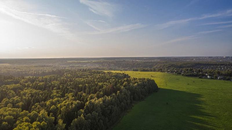 Фото: Гжельский лес, цена 60000 рублей — купить недвижимость в Москве