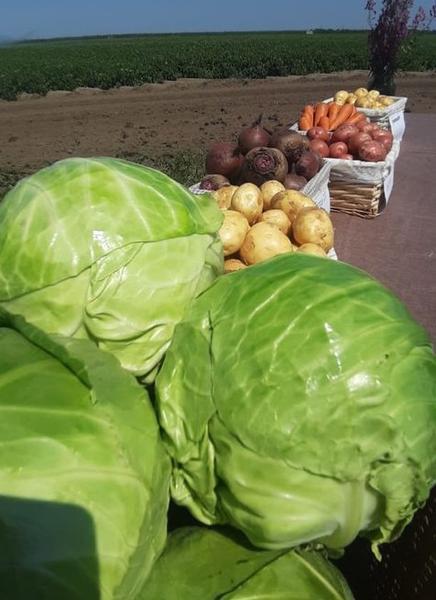 Фото: Свежие овощи в Барнауле в зиму со склада от прямого поставщика в Барнауле, цена 18 рублей — объявления на Sobut