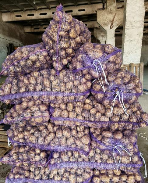 Фото: Качественные овощи с алтайской фермы от поставщика в Барнауле в Барнауле, цена 14 рублей — объявления на Sobut