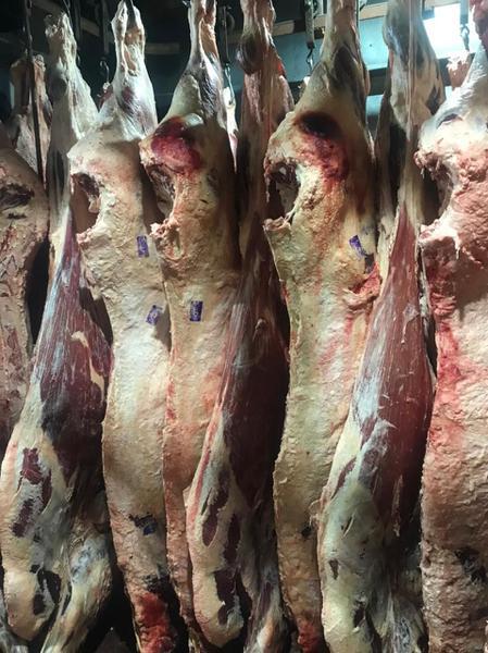 Фото: Купить предлагаем мясо говядину в ассортименте в Хабаровске, цена 350 рублей — объявление