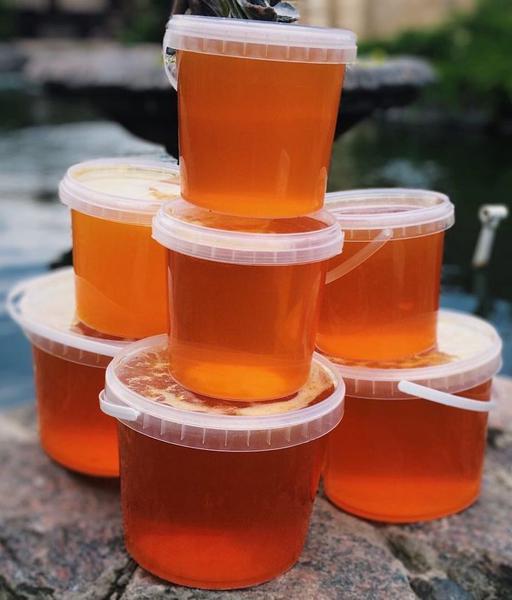 Фото: Купить мед фасованный разных видов в Вологде, цена 95 рублей — объявление