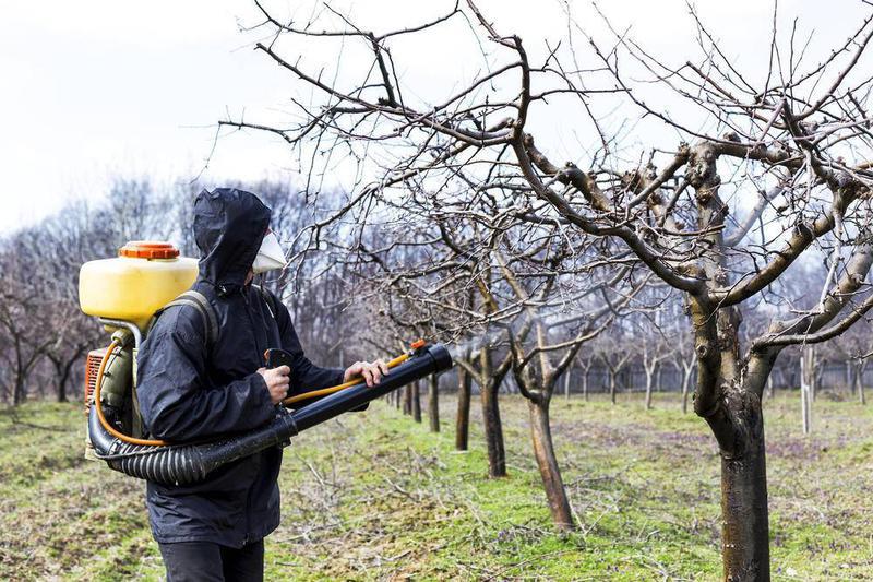 Фото: Весенняя обработка, опрыскивание сада от вредителей Бронницы в Бронницах, цена 2500 рублей — объявления на Sobut