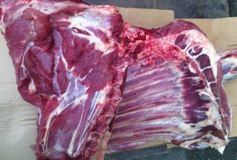 Фото: Купить мясо говядина молодняк под забой в Ишиме, цена 270 рублей — объявление