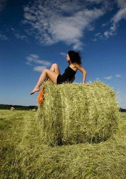 Фото: Продам сено в рулонах, луговое разнотравье, Тюмень, цена 1000 рублей — объявления в Тюмени